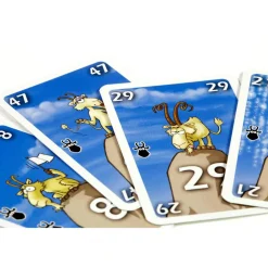 999 Games Bokken Schieten kaartspel