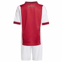 Adidas Ajax thuistenue mini 25 - 26