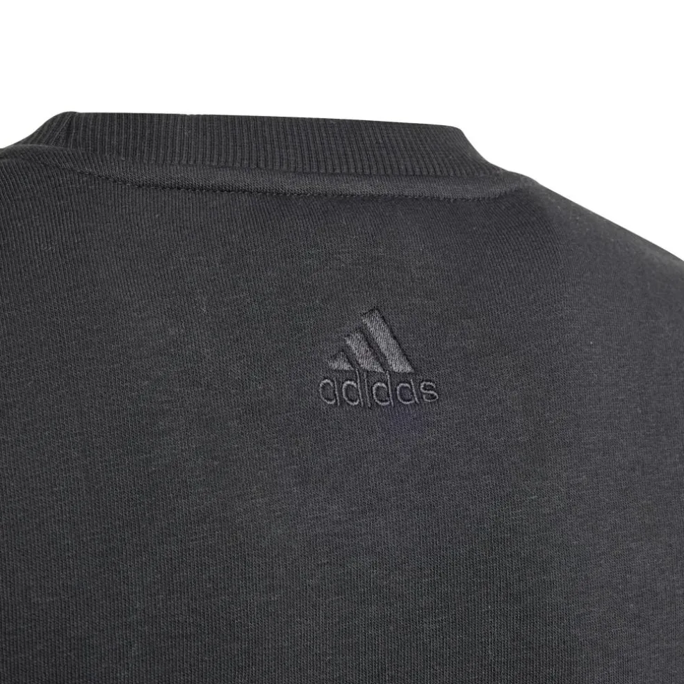Adidas ALL SZN Graphic sweater junior black