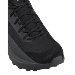 Arc'teryx Norvan LD 4 wandelschoenen heren black cloud