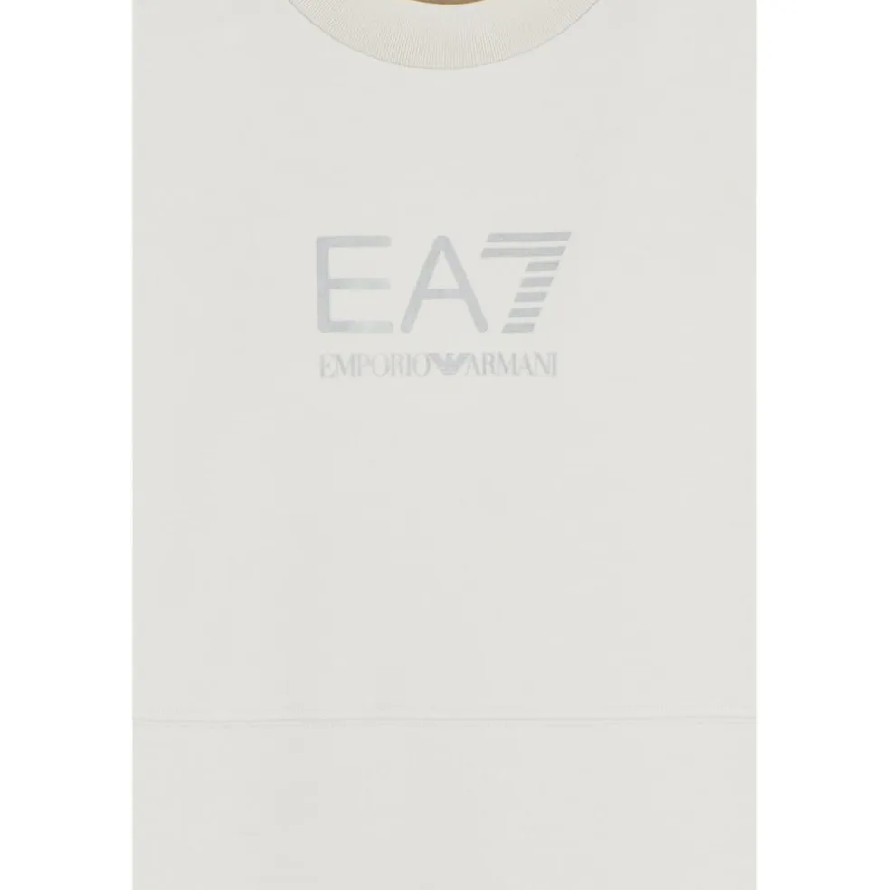 EA7 6DPM23-PJUWZ sweater heren grey