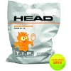 Head TIP grootverpakking tennisballen orange