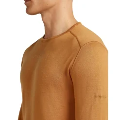 Icebreaker M 260 Tech LS thermoshirt heren trail