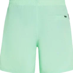 O'Neill Vert 16 inch zwembroek heren mildrew mint