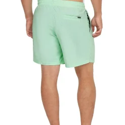 O'Neill Vert 16 inch zwembroek heren mildrew mint