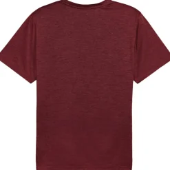 Puma TAD ESSENTIALS shirt heren ruby shimmer heather