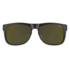 Sinner Totai zonnebril smoke gold matte black