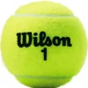 Wilson Championship tennisballen